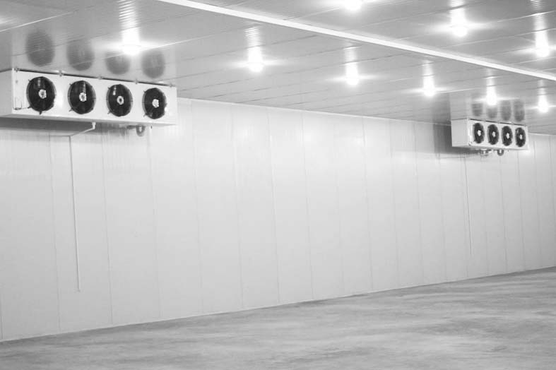 超越同行,您只差一個水果冷庫(圖1) 超越同行,您只差一個水果冷庫(圖1)