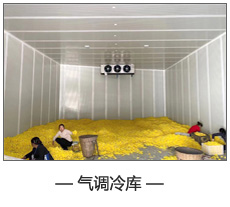 氣調冷庫.jpg 氣調冷庫.jpg