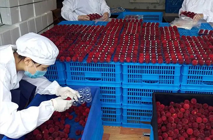 楊梅冷庫造價(圖1)