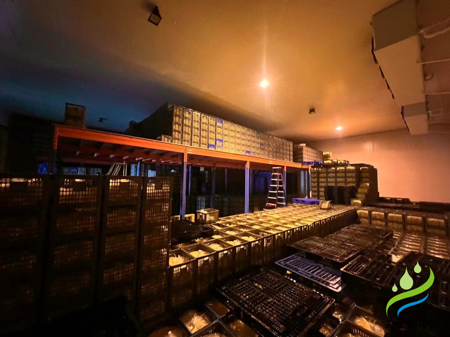 建造一個(gè)1000噸禽蛋類冷藏庫(kù)的成本是多少？