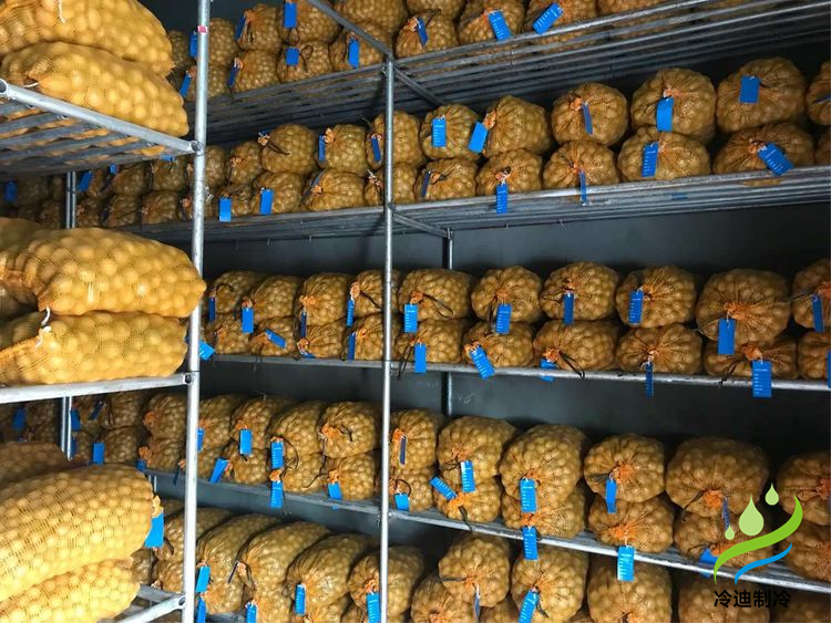 建造100噸土豆冷庫面積及冷庫造價多少錢？