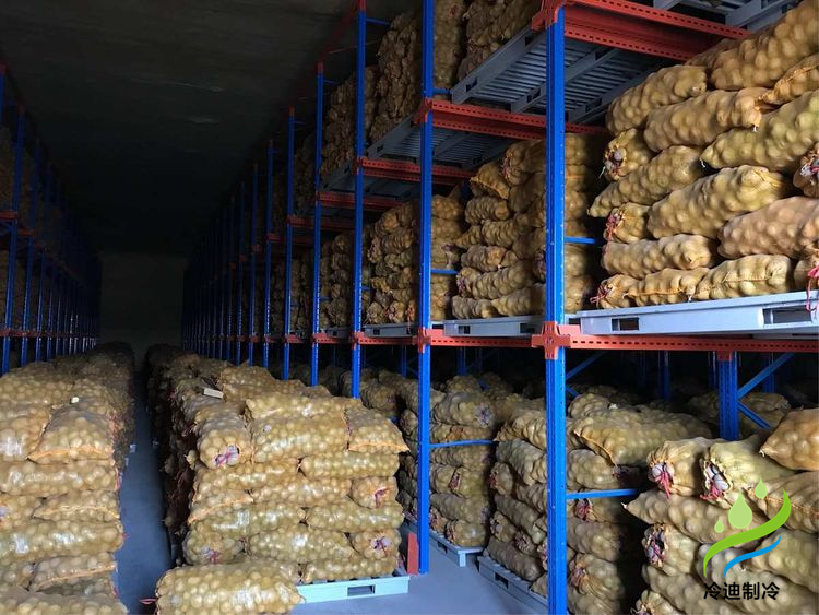 建造100噸土豆冷庫面積及冷庫造價多少錢？