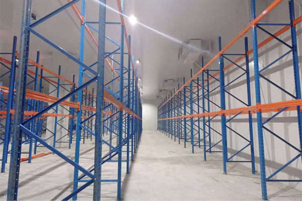 建造一個櫻桃保鮮冷庫多少錢？(圖2)