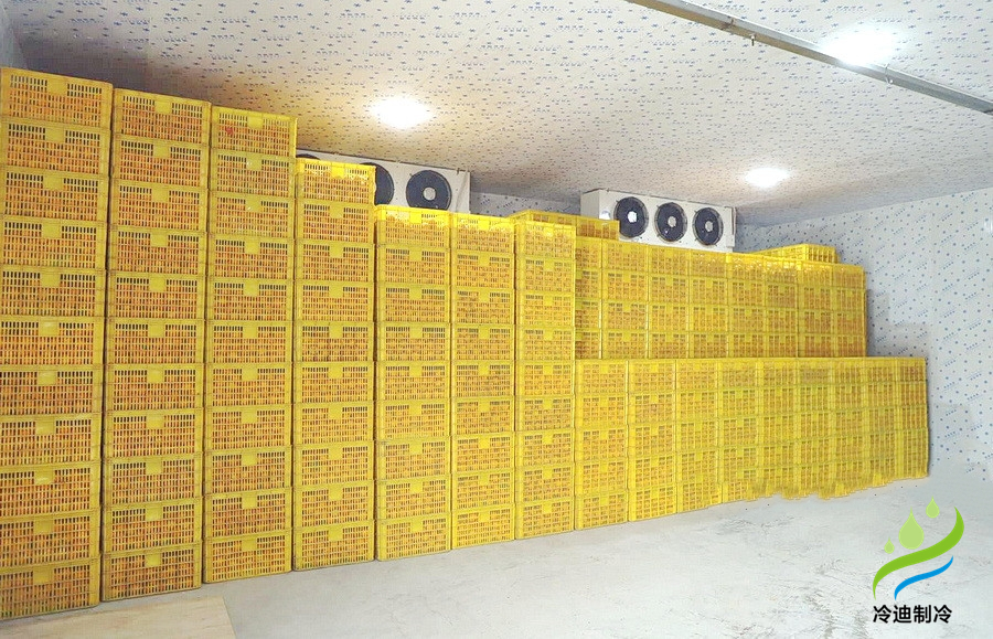 建造一個橙子冷庫需要多少錢？(圖2)